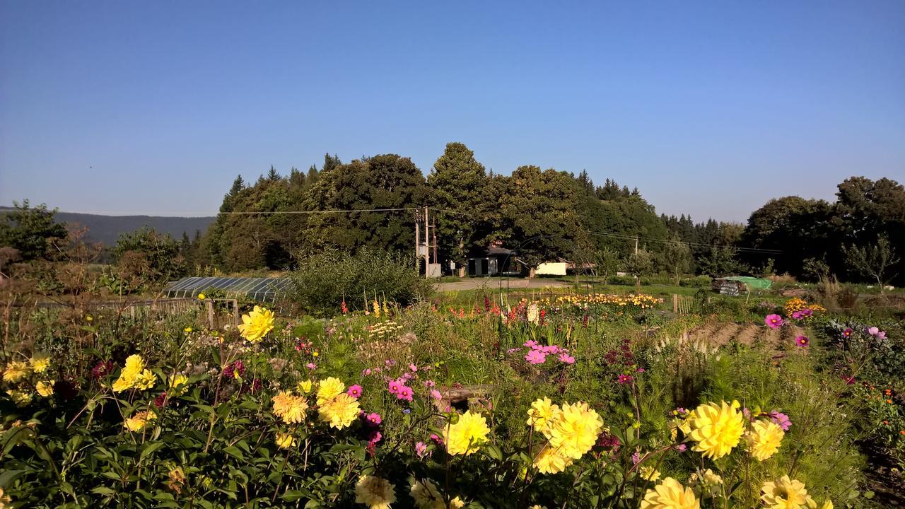 Lodge Na Bucharu Javorna